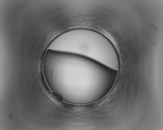 X0000110970105200906191119