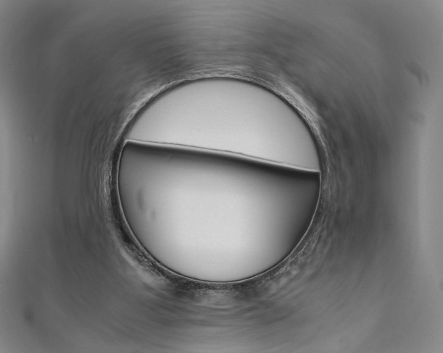 X0000110970107200906191119