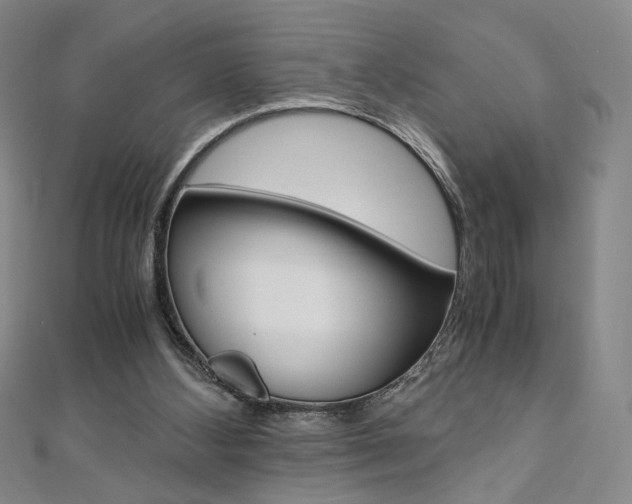 X0000110970108200906191119
