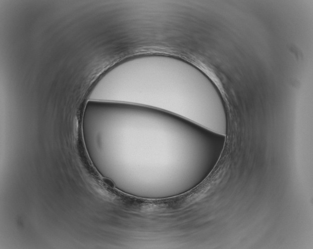 X0000110970109200906191119
