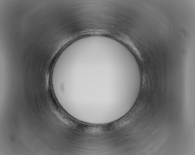 X0000110970110200906191119