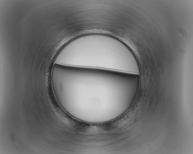 X0000110970111200906191119