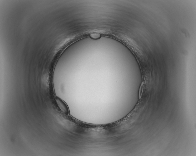 X0000110970112200906191119