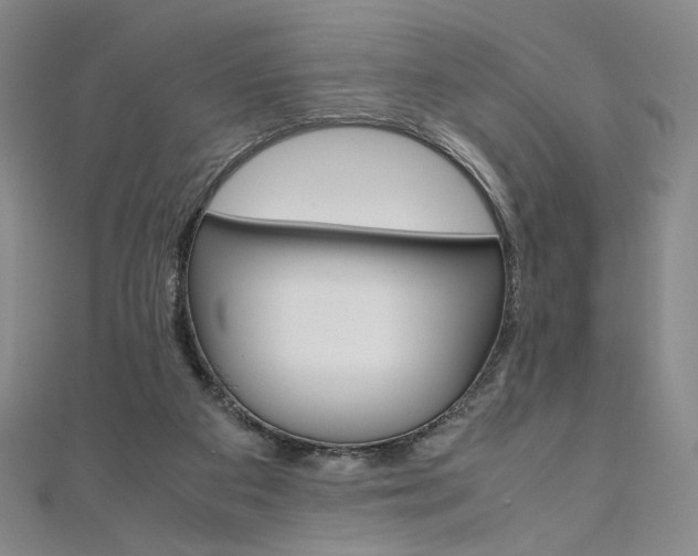 X0000110970113200906191119