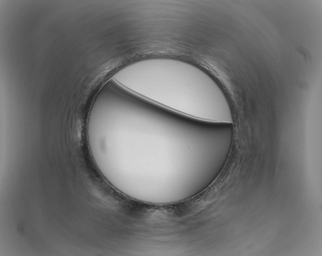 X0000110970115200906191119