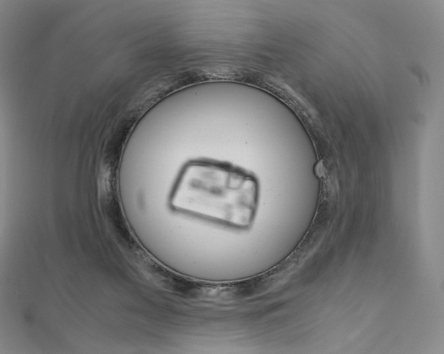 X0000110970117200906191119