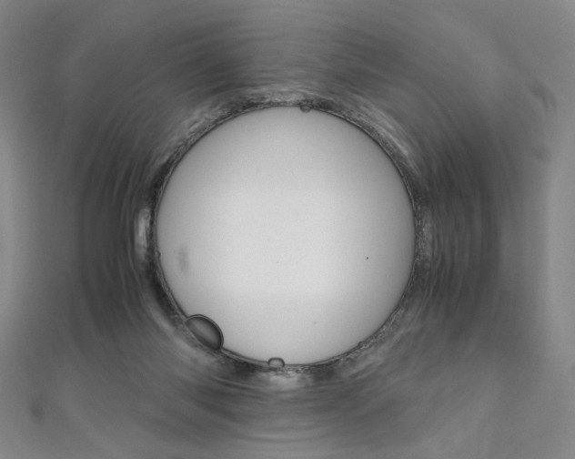 X0000110970118200906191119