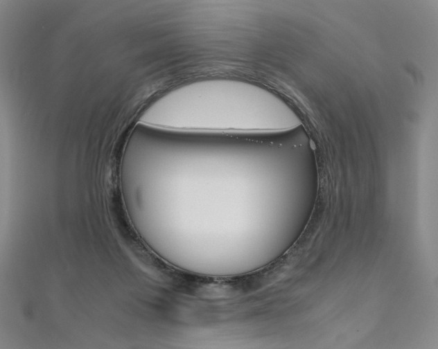 X0000110970119200906191119
