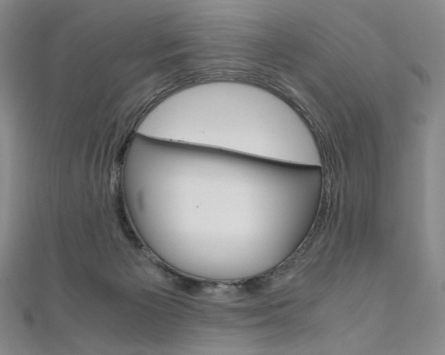 X0000110970125200906191119