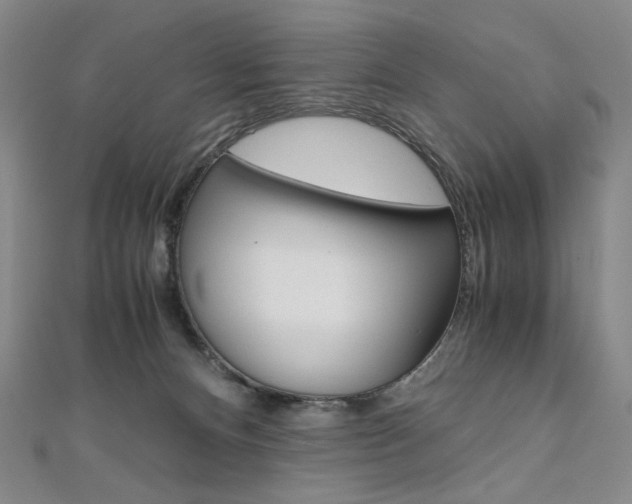 X0000110970128200906191119