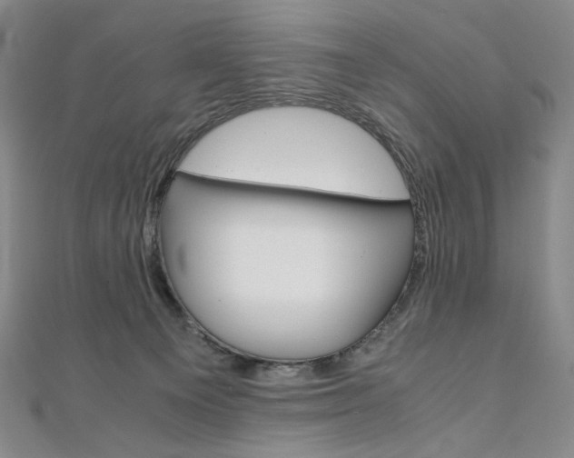 X0000110970129200906191119