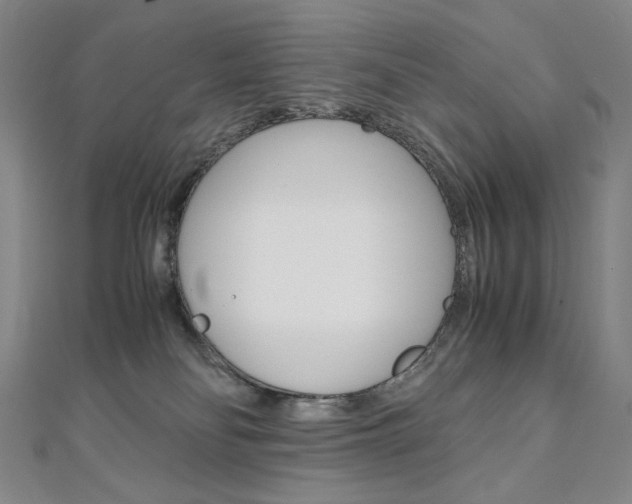 X0000110970134200906191119