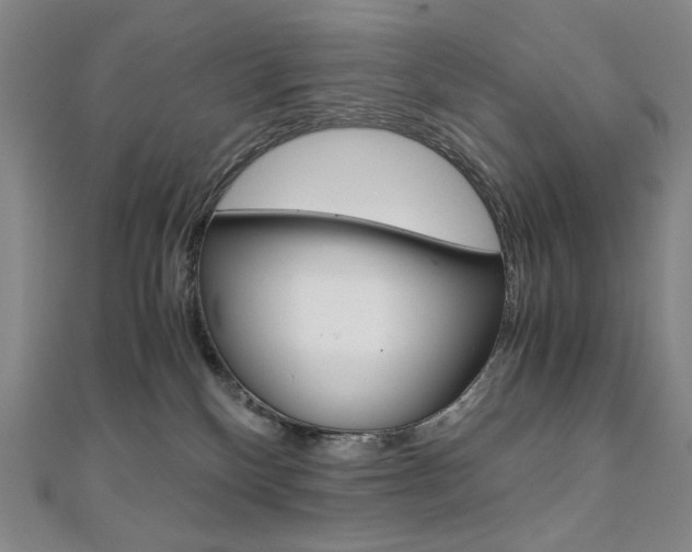 X0000110970136200906191119