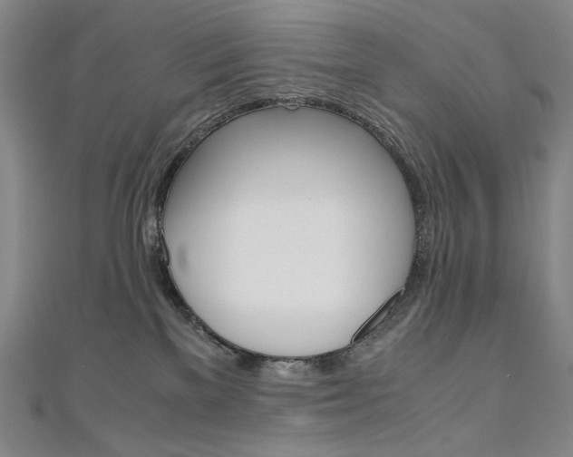 X0000110970137200906191119