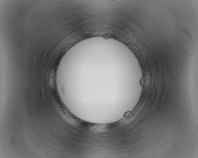 X0000110970138200906191119