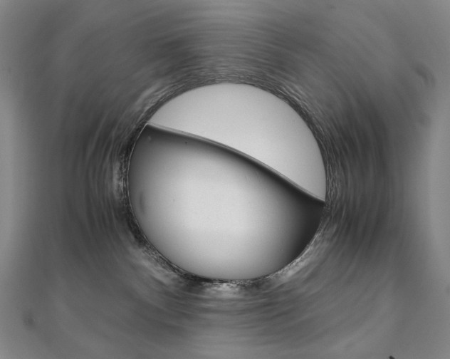 X0000110970140200906191119