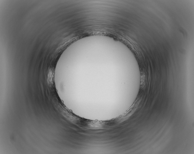 X0000110970142200906191119