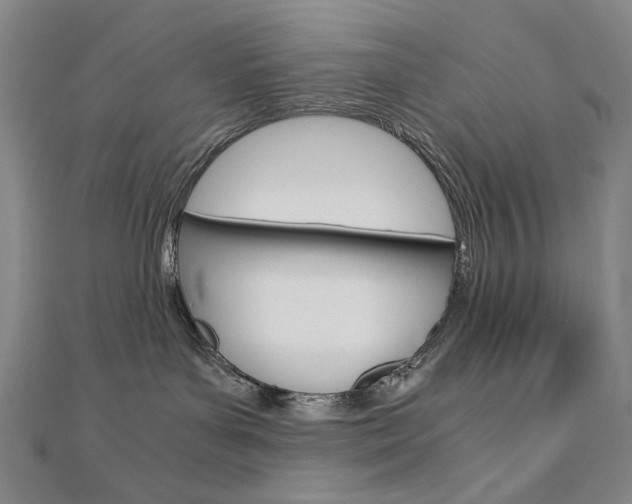 X0000110970143200906191119