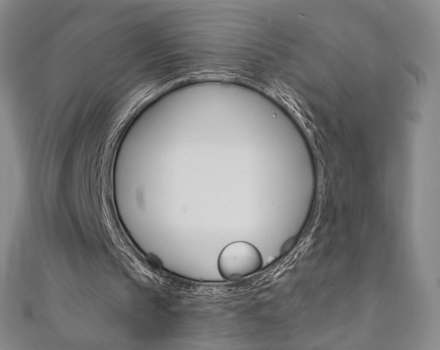 X0000110970145200906191118