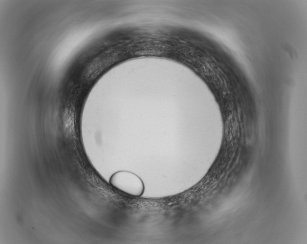 X0000110970146200906191118
