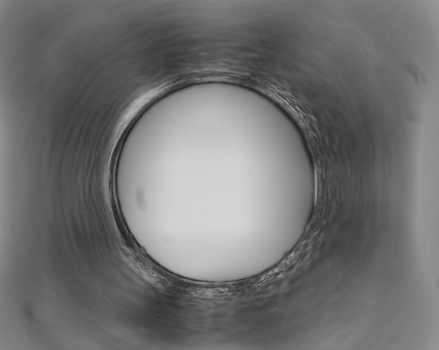 X0000110970147200906191118