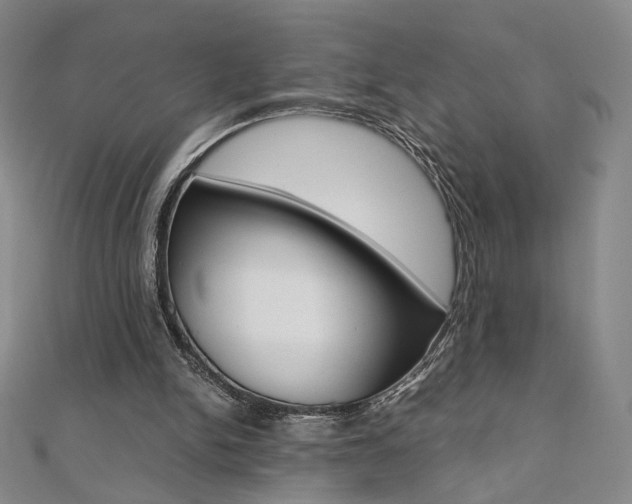 X0000110970150200906191118