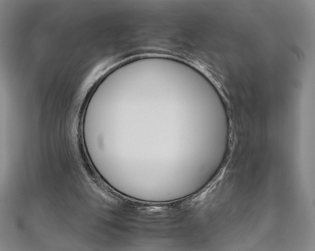 X0000110970151200906191118