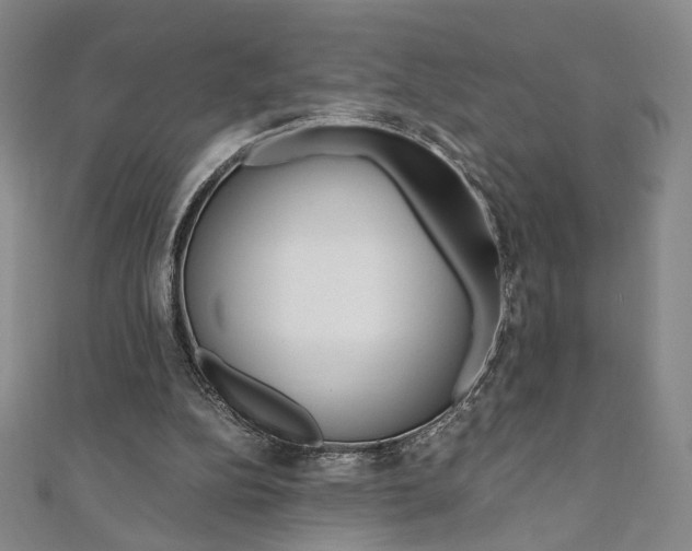 X0000110970152200906191118