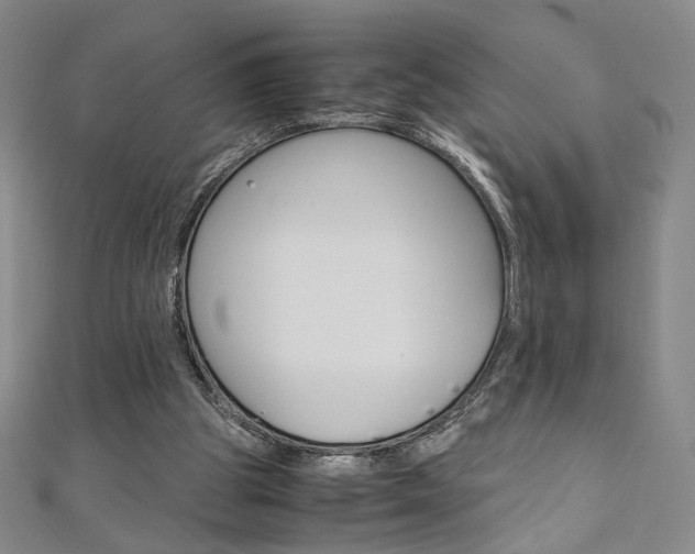 X0000110970153200906191118