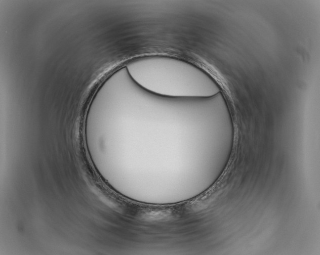 X0000110970155200906191118
