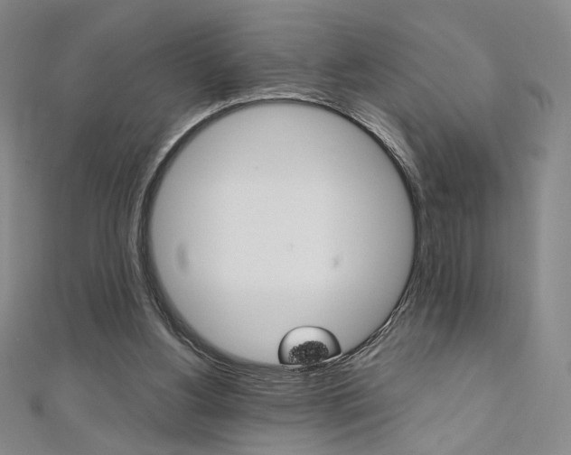 X0000110970156200906191118