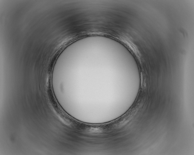 X0000110970157200906191118