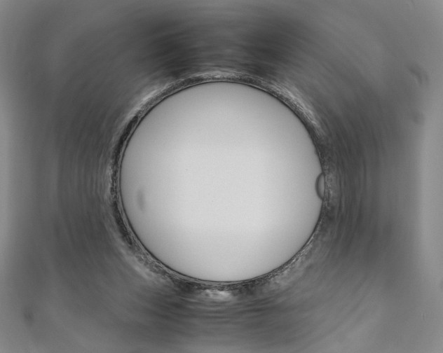 X0000110970159200906191118