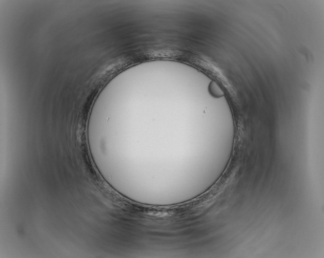 X0000110970161200906191118