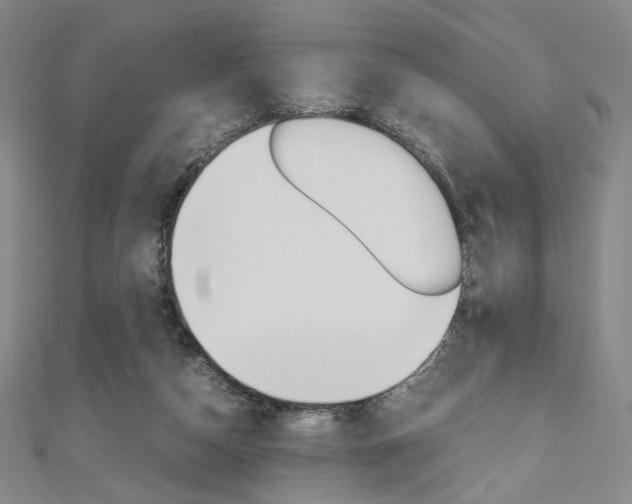 X0000110970162200906191118