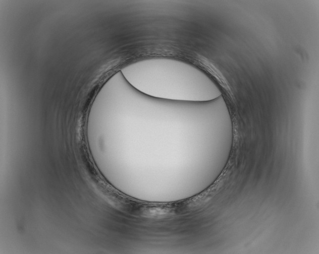 X0000110970163200906191118