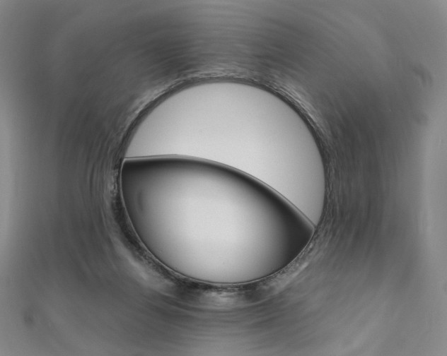 X0000110970164200906191118