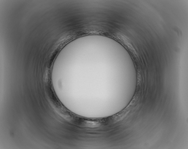 X0000110970167200906191118