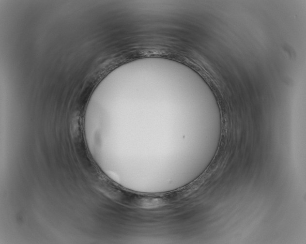 X0000110970169200906191118