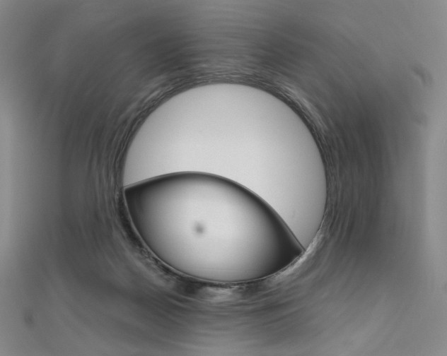 X0000110970170200906191118