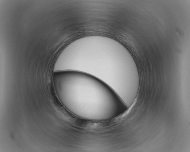X0000110970174200906191118