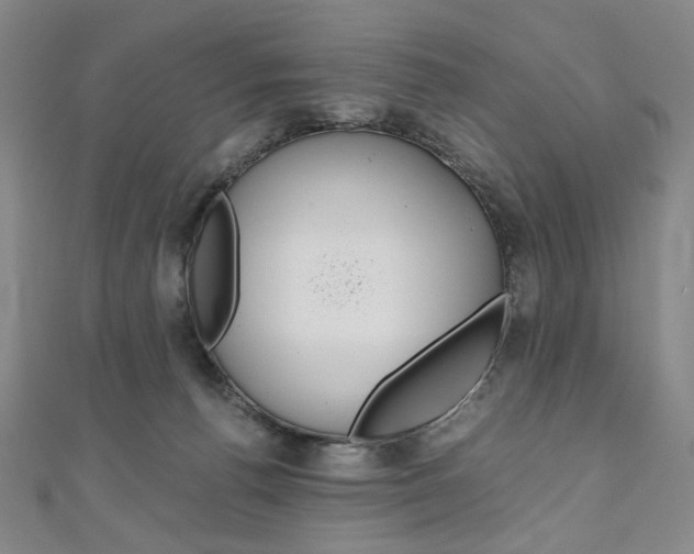 X0000110970176200906191118