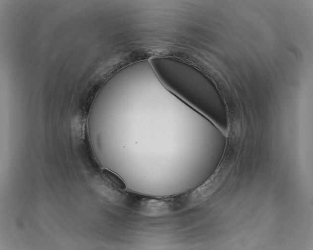 X0000110970180200906191118