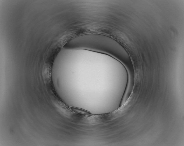 X0000110970186200906191118