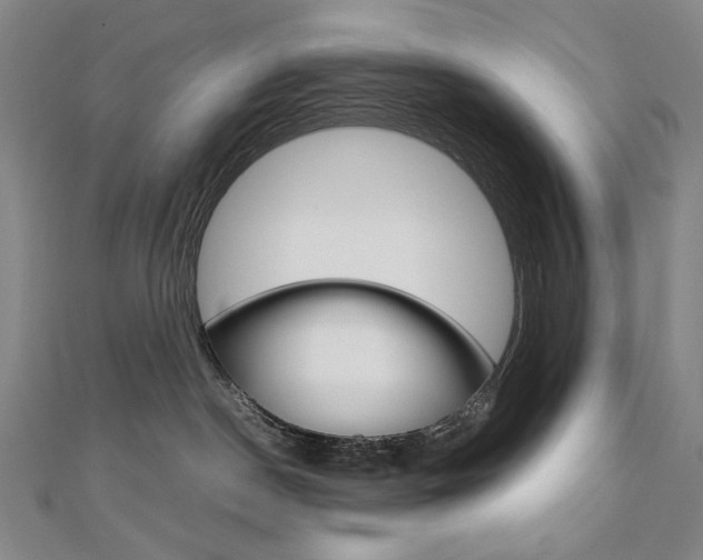 X0000110970190200906191119