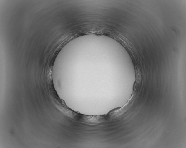 X0000110970191200906191119