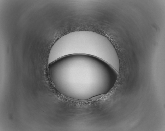 X0000110970192200906191119