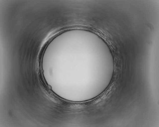 X0000110970198200906191118