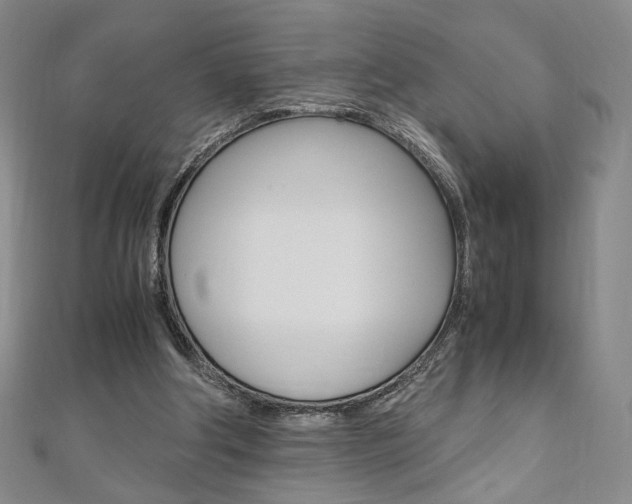 X0000110970202200906191118