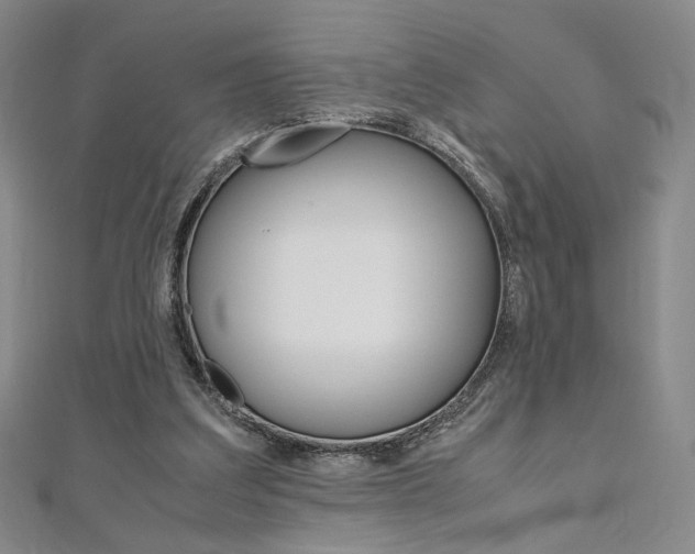 X0000110970203200906191118